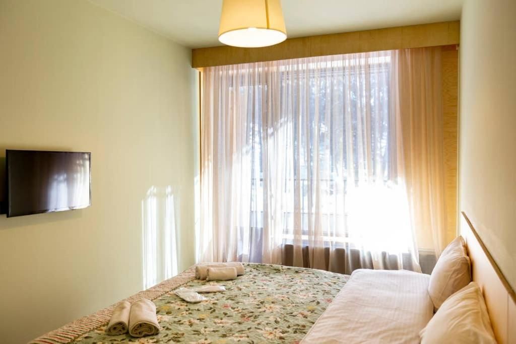 Дома для отпуска Nice Hotel Apartment Near Rooms Hotel in The Hills of Bakuriani Бакуриани