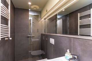 Дома для отпуска Nice Hotel Apartment Near Rooms Hotel in The Hills of Bakuriani Бакуриани-5